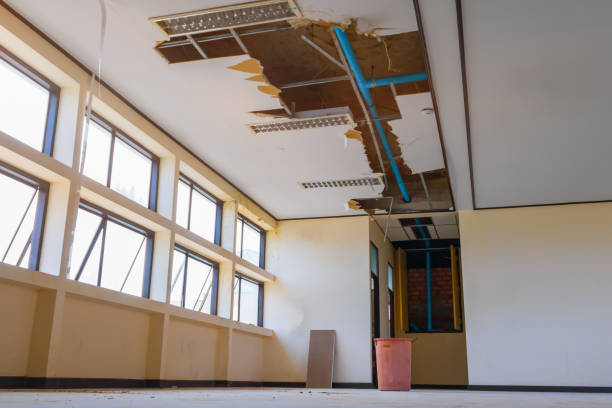 Best 24-hour water damage restoration  in Mena, AR