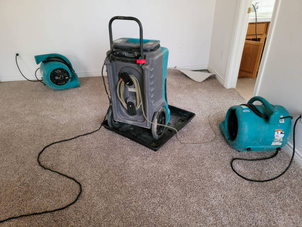 Best 24/7 water damage repair  in Mena, AR