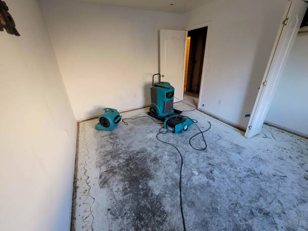 Best Residential water damage restoration  in Mena, AR