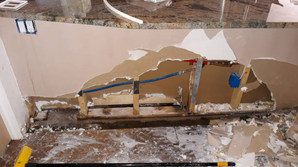 Best Flooded house restoration  in Mena, AR