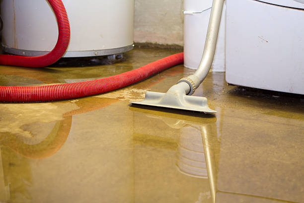 Best 24/7 water damage repair  in Mena, AR