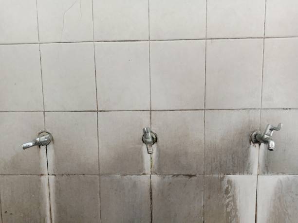 Best Flooded house restoration  in Mena, AR