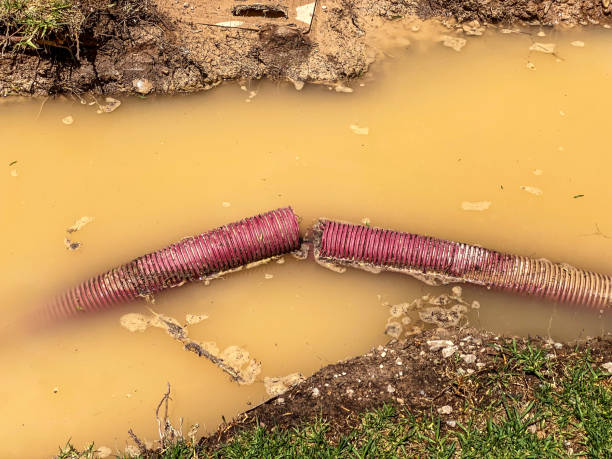 Best Commercial water damage restoration  in Mena, AR