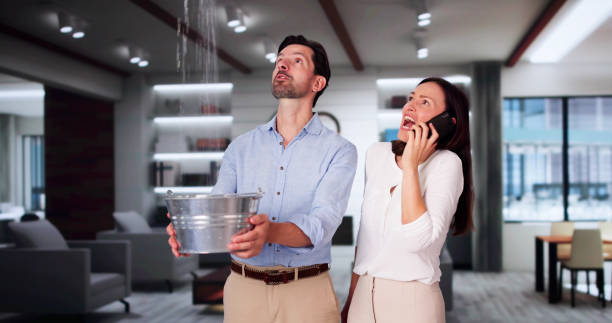 Best Water damage cleanup near me  in Mena, AR